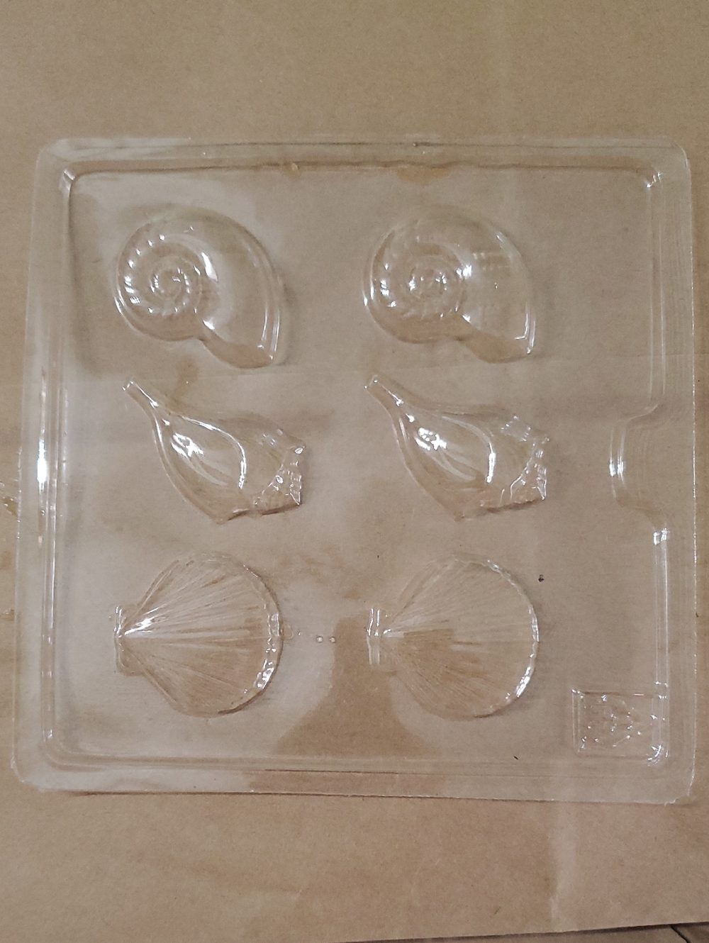 Clear Plastic Sea Shell Mold Set - 6-Cavity Plus 5 Others!